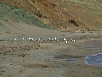 Прикрепленное изображение: DSCF6081.jpg